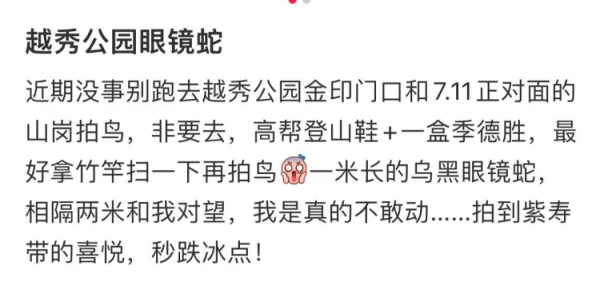 广盛网 网友称广州越秀公园有眼镜蛇出没，工作人员：尽量走大路，公园定期抓蛇