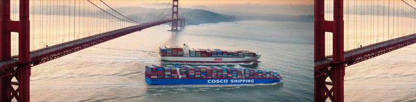 晟红网 半年大赚175亿背后: 中远海控 “航运+数字化供应链”的双向赋能