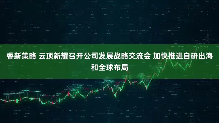 睿新策略 云顶新耀召开公司发展战略交流会 加快推进自研出海和全球布局